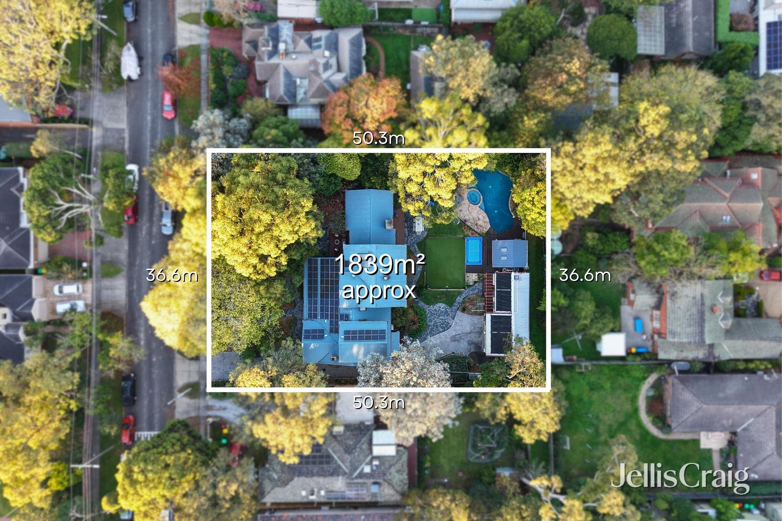 38 Fuchsia Street, Blackburn image 23
