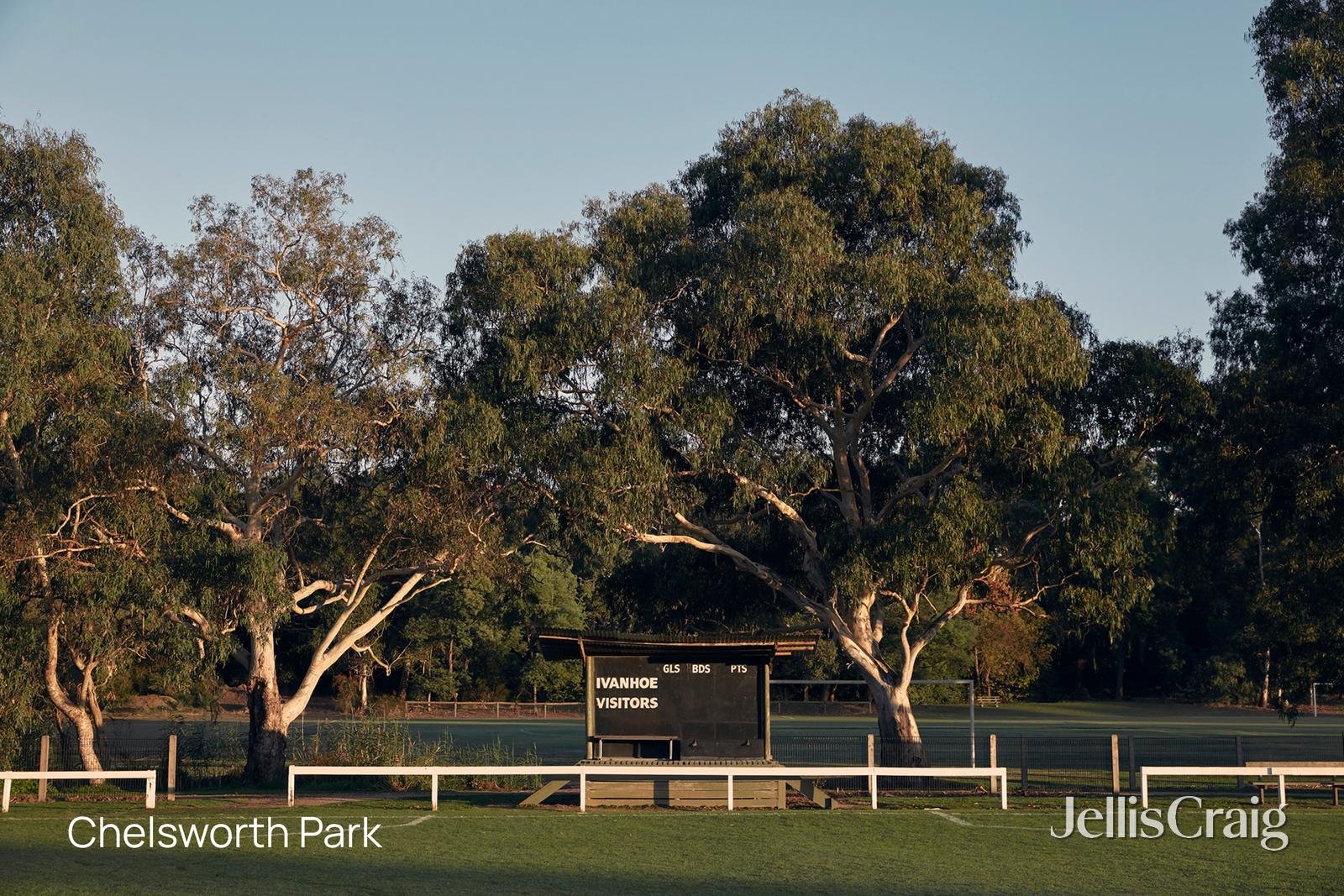 38 Gilbert Road, Ivanhoe image 13