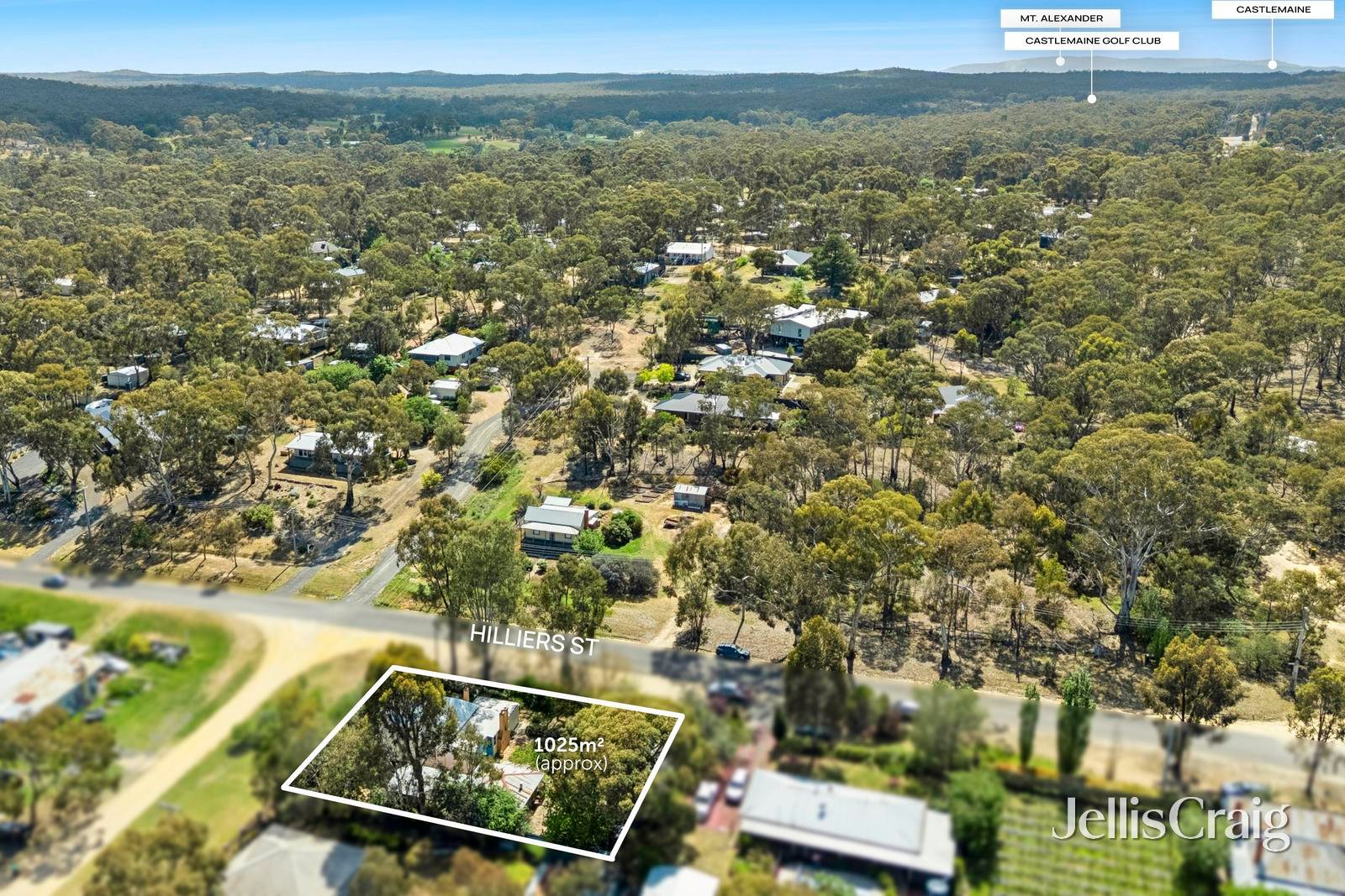 38 Hilliers Street, Newstead image 15