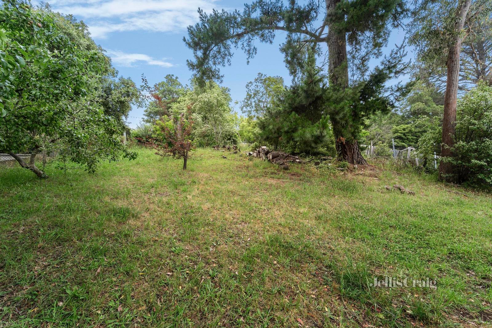 38 Marcus Street, Mount Evelyn image 10