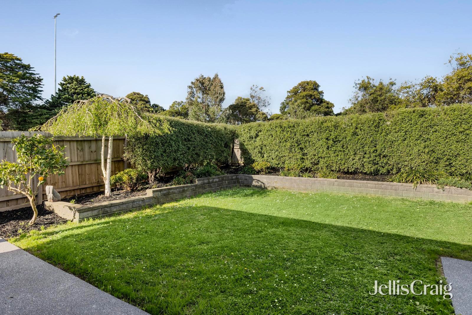 38 Marilyn Street, Doncaster image 14