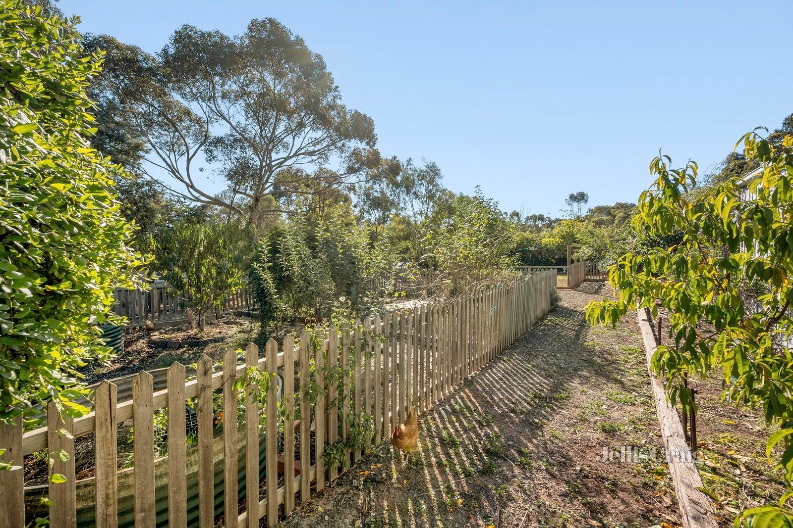 38 Native Hut Drive, Teesdale image 17