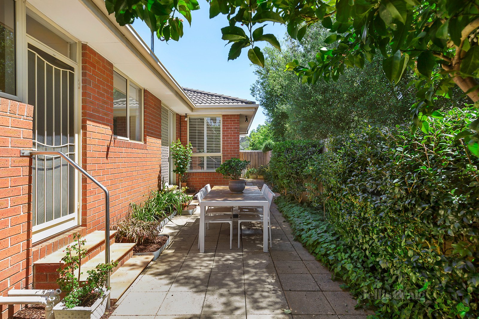 3/8 Newbigin Street, Burwood image 4