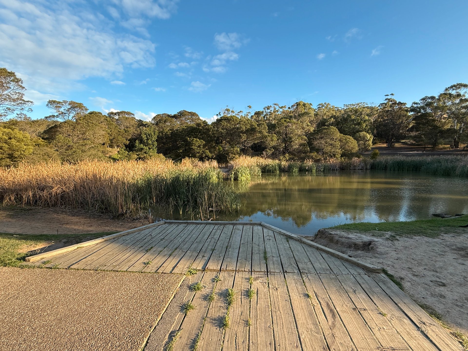 38 Olympic Parade DROMANA