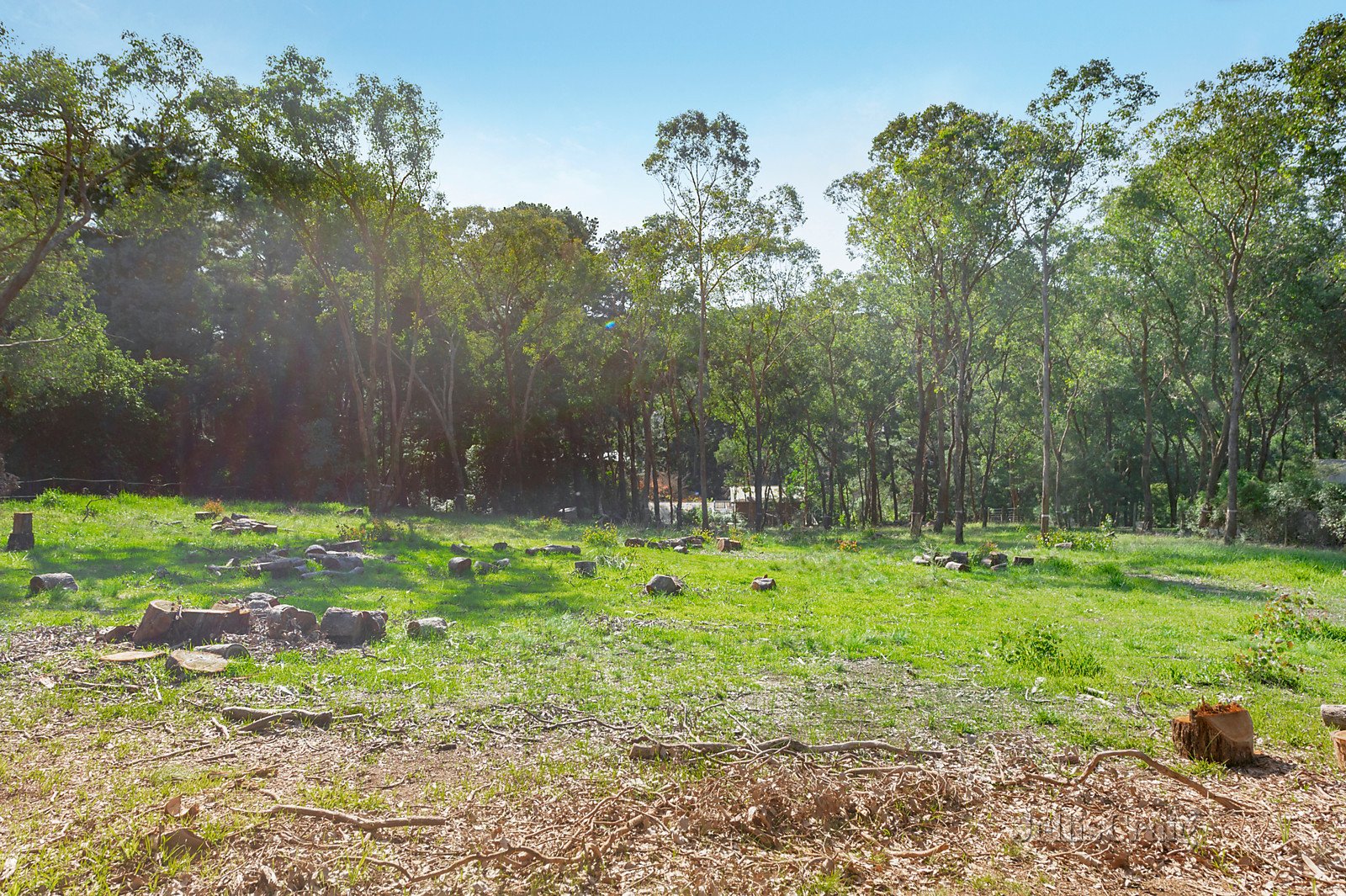 38 Smedley Road, Park Orchards image 3