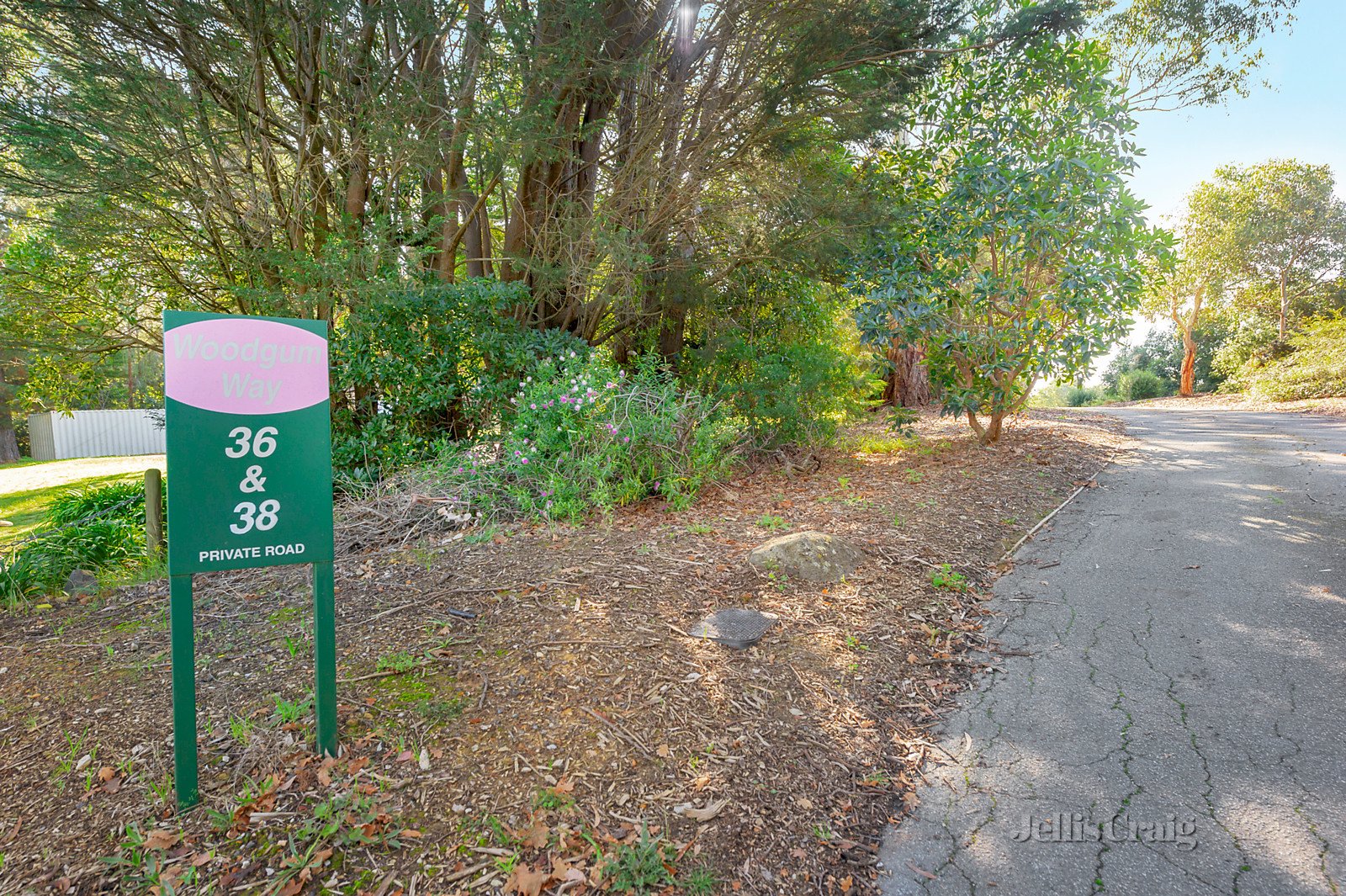 38 Smedley Road, Park Orchards image 4