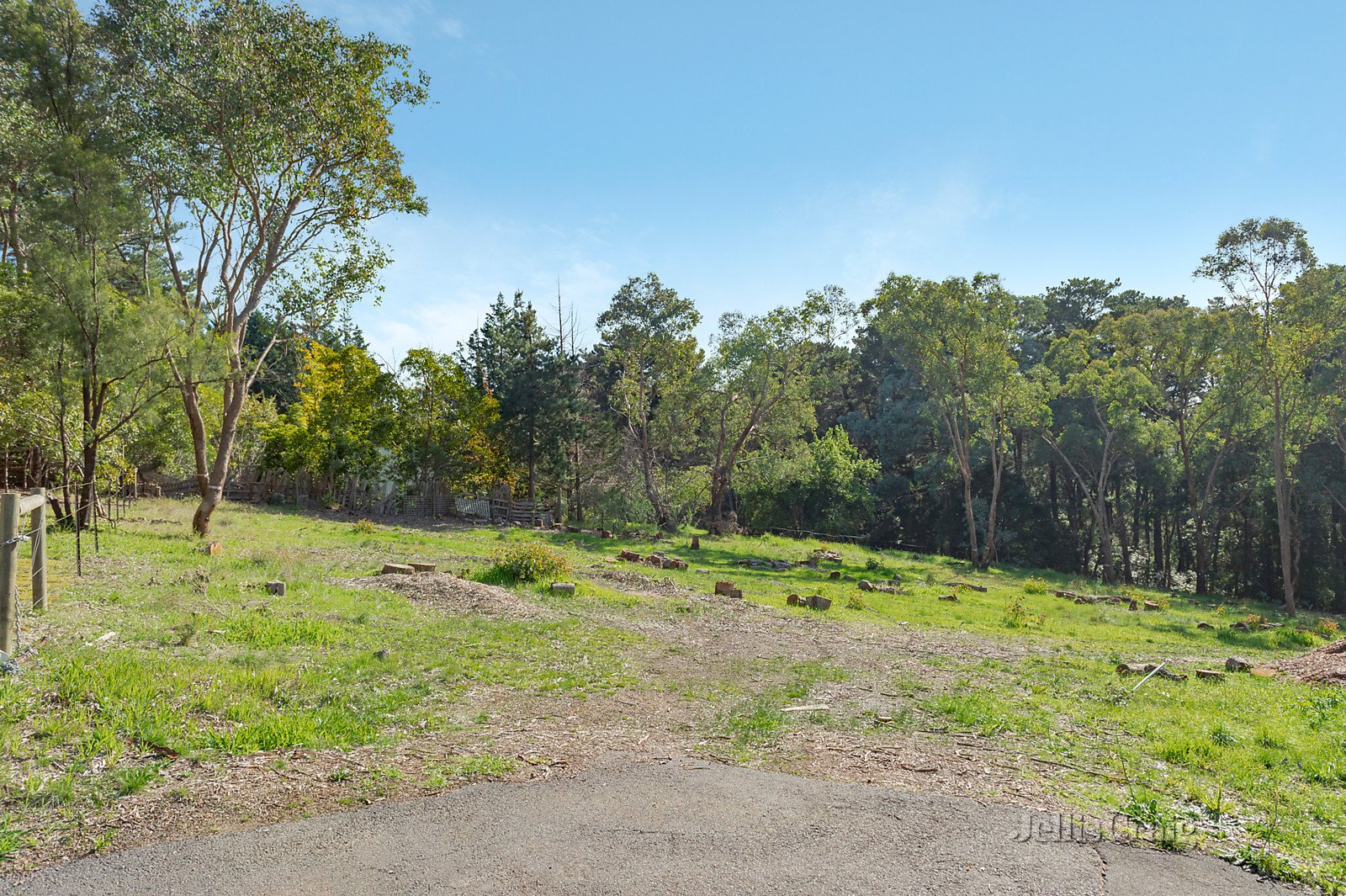 38 Smedley Road, Park Orchards image 6