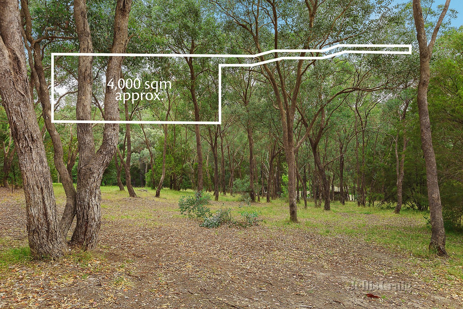 38 Smedley Road, Park Orchards image 8