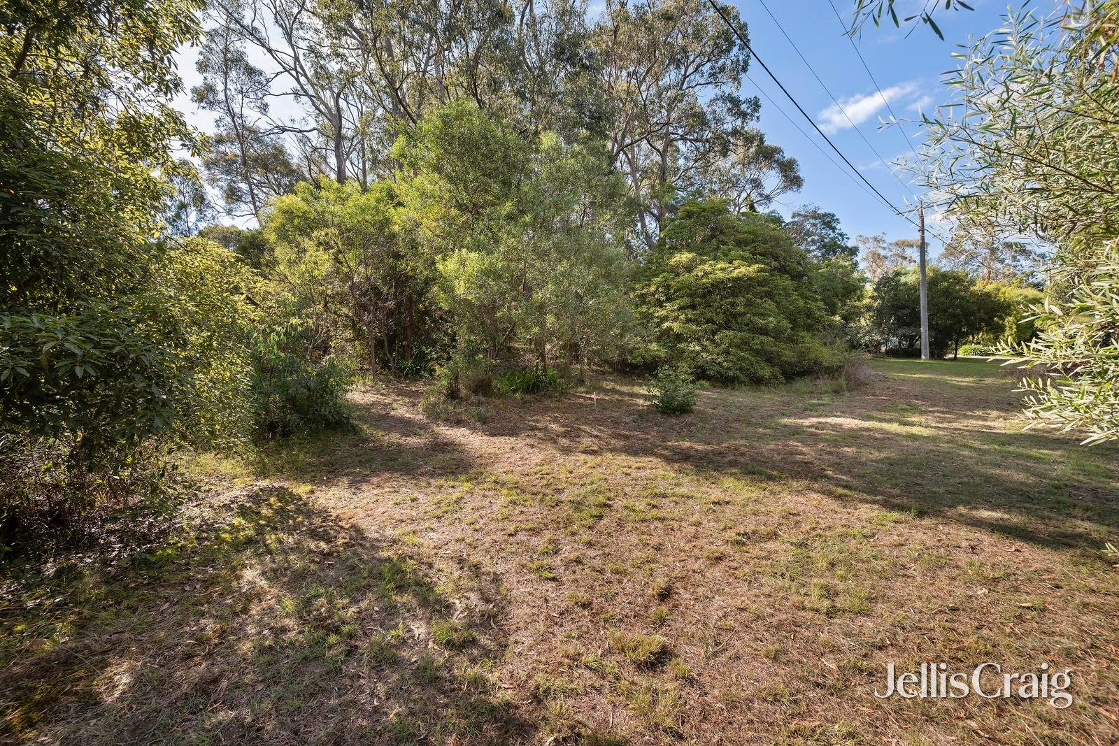 38 Thomas Crescent, Lilydale image 3