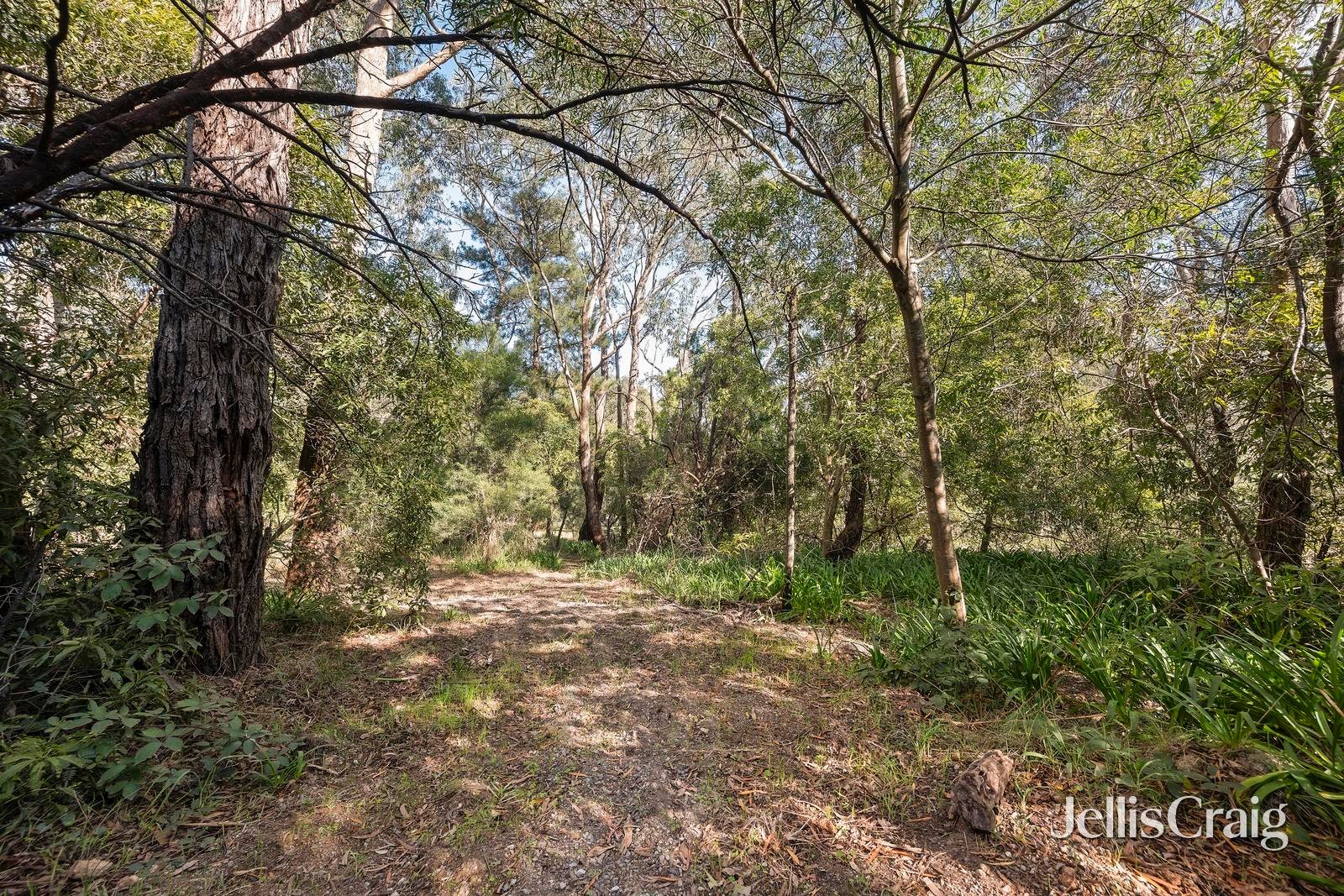 38 Thomas Crescent, Lilydale image 5