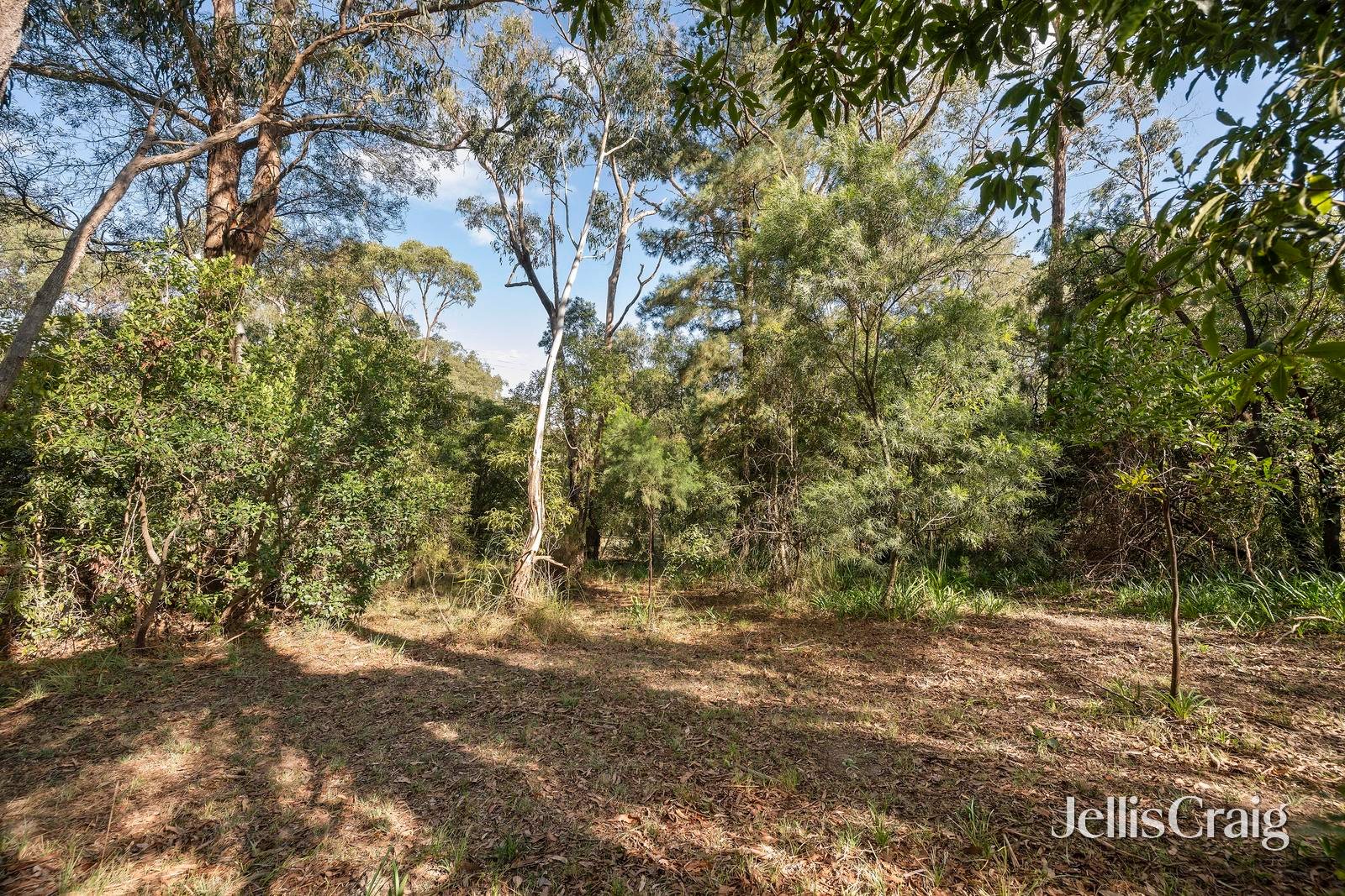 38 Thomas Crescent, Lilydale image 6