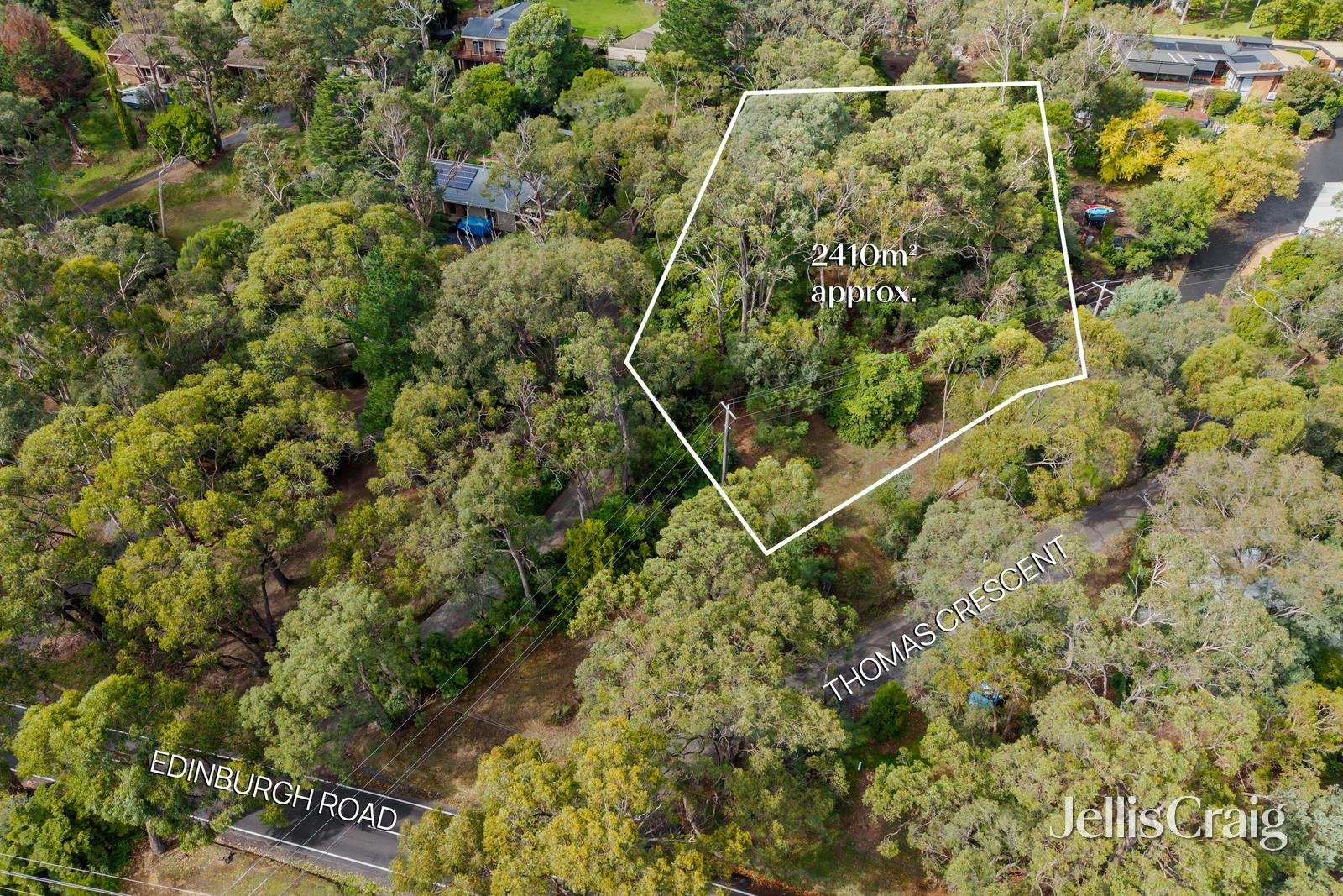 38 Thomas Crescent, Lilydale image 7