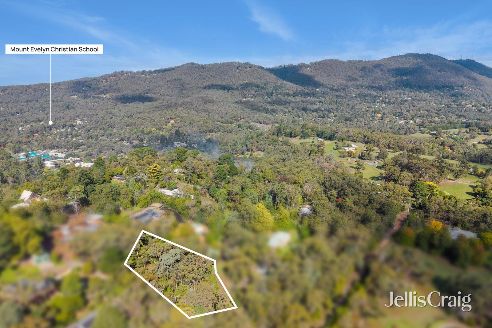 38 Thomas Crescent, Lilydale image 9