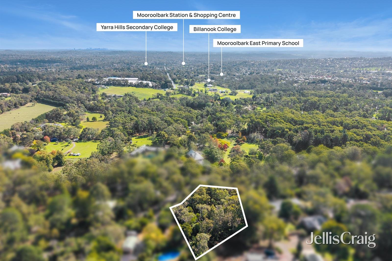 38 Thomas Crescent, Lilydale image 10