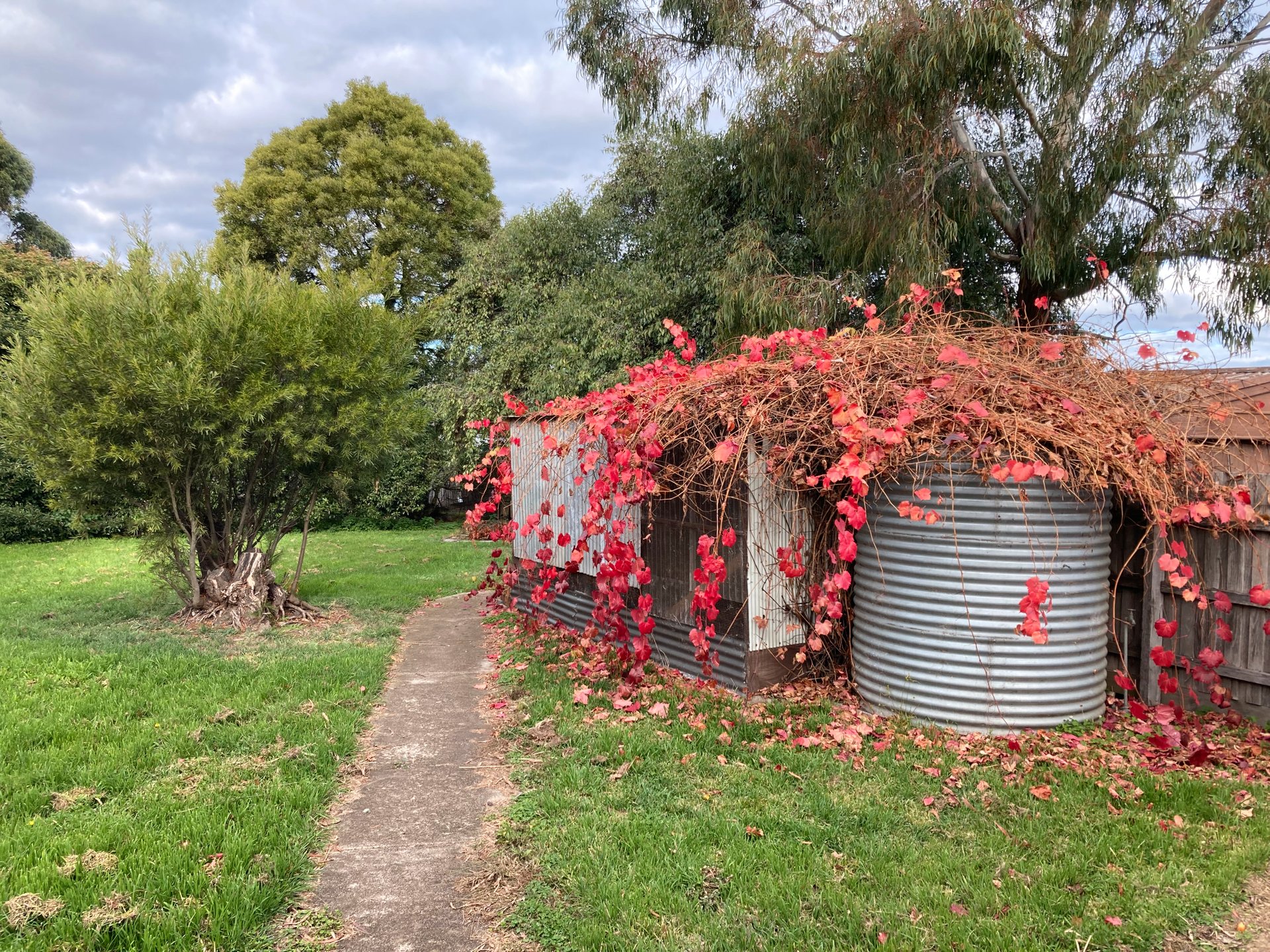 38 Trentham Road, Tylden image 8