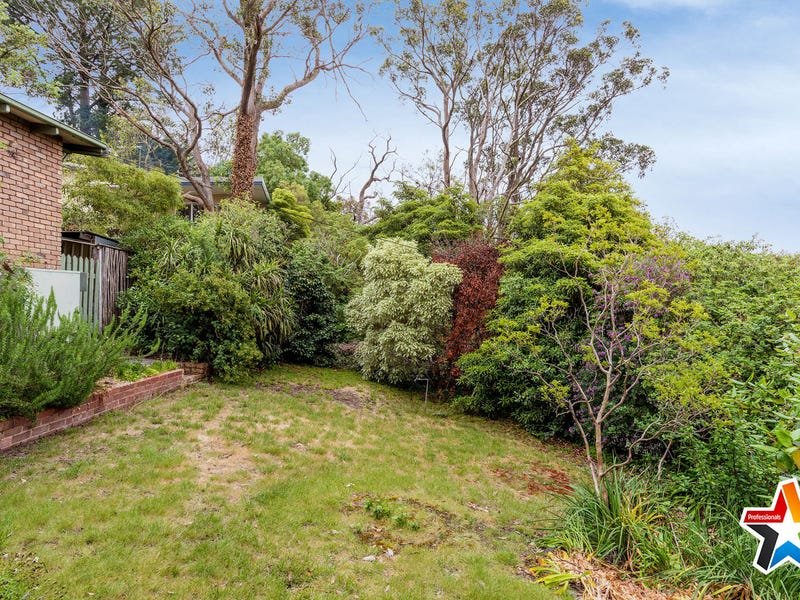 38 Velma Grove, Ringwood East image 17