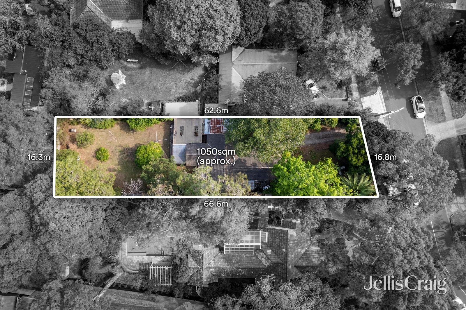 38 Wellington Avenue, Blackburn image 11