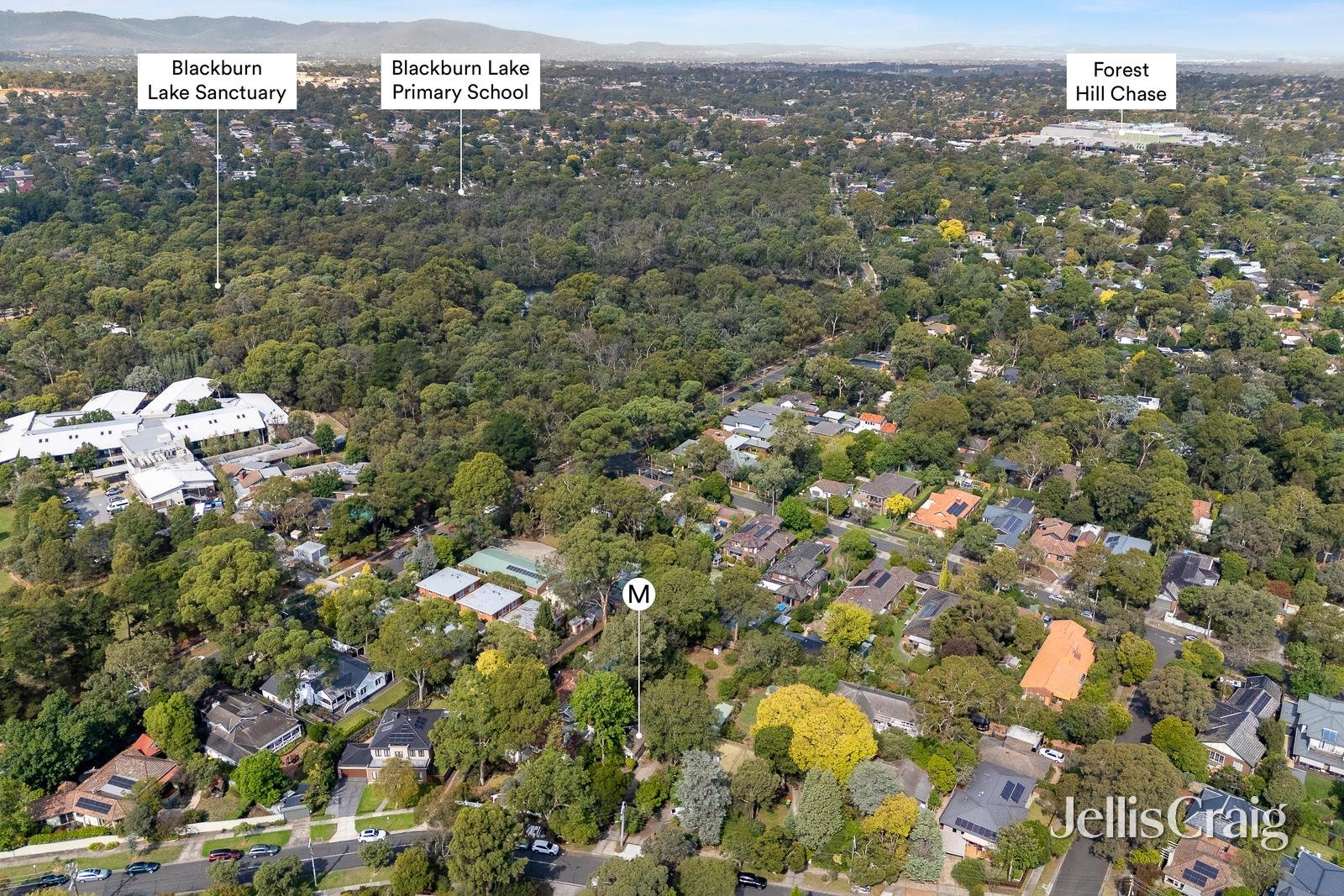 38 Wellington Avenue, Blackburn image 13