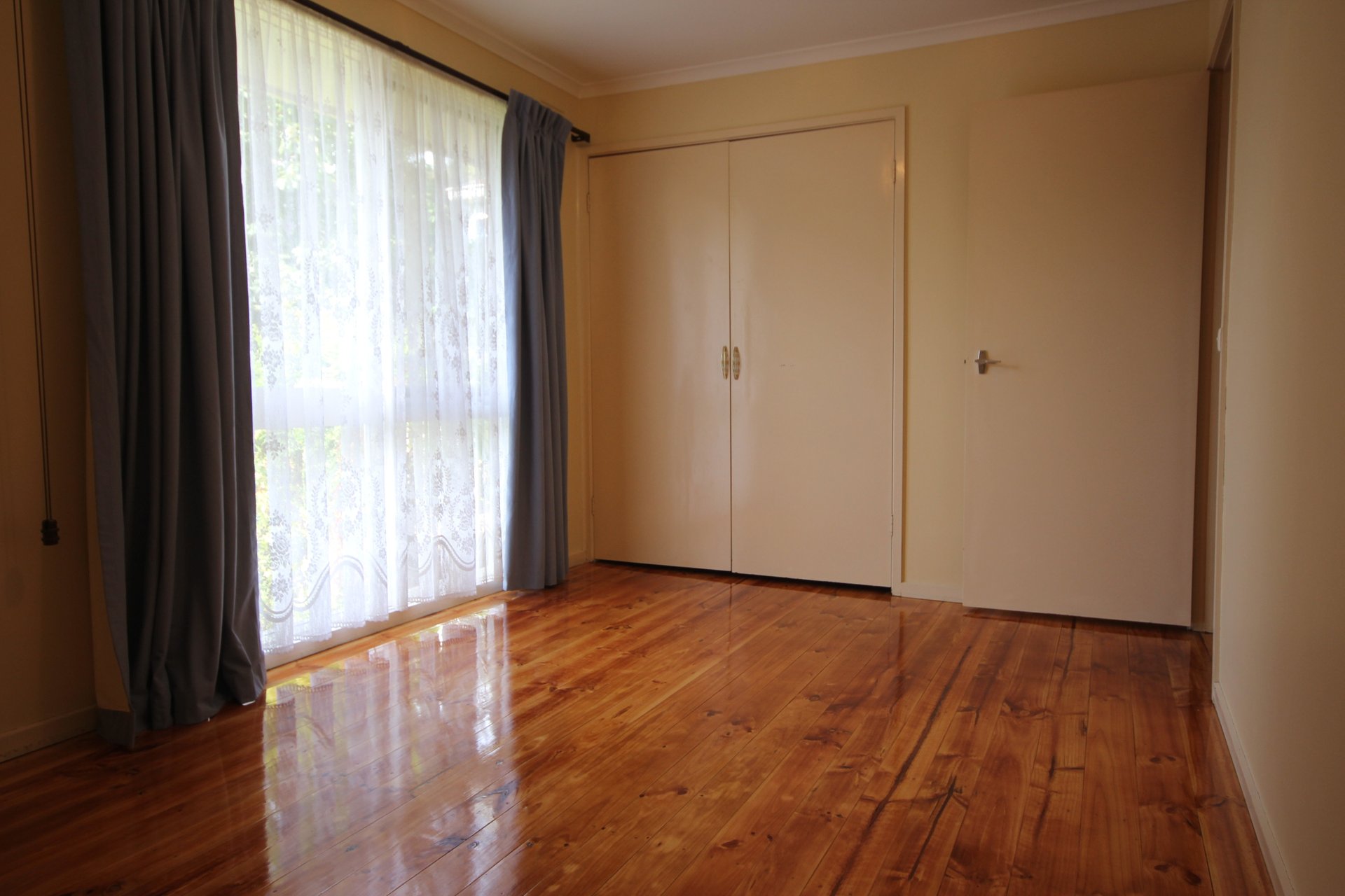 3/86 Ringwood Street, Ringwood image 3