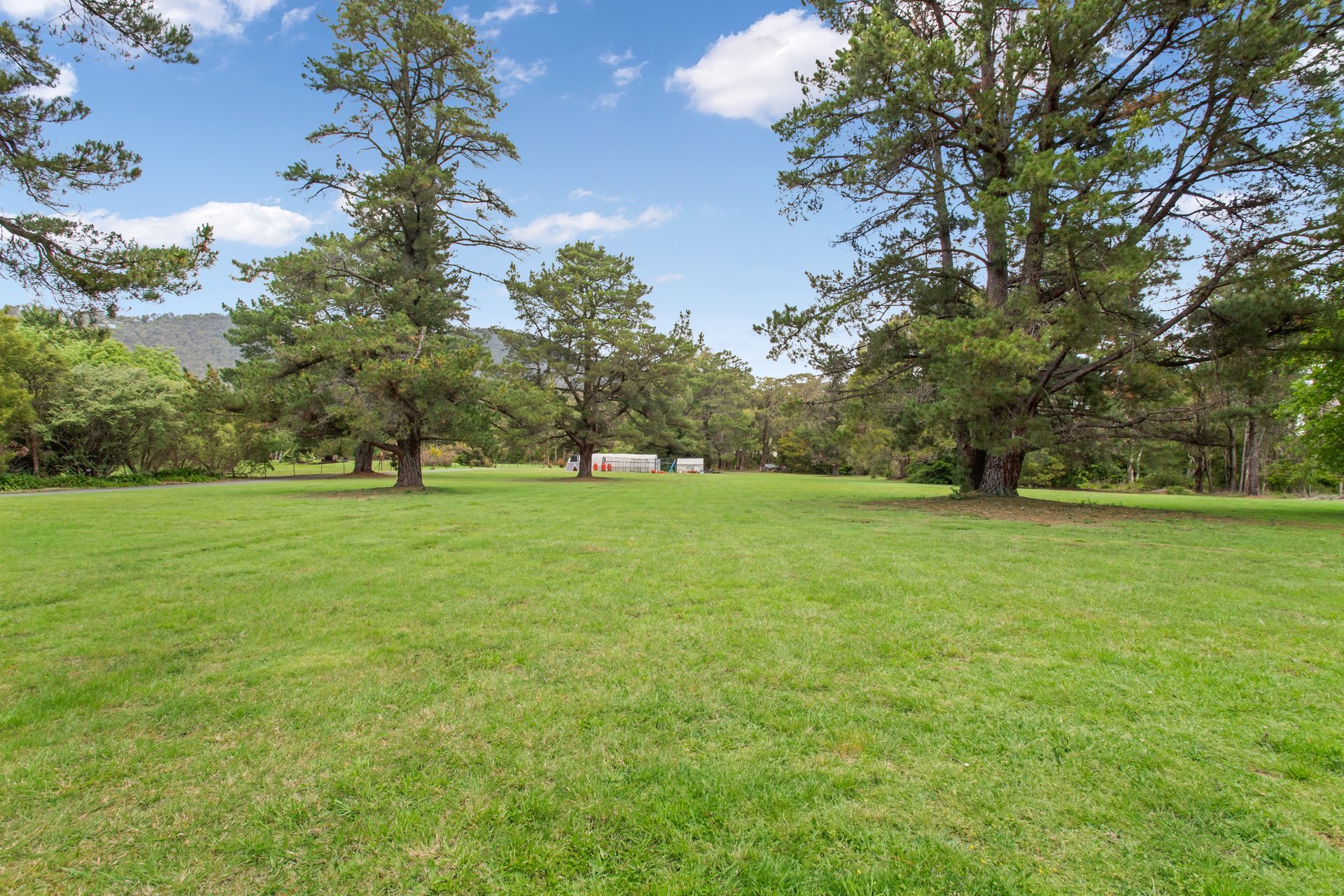 387 Cambridge Road, Montrose image 11