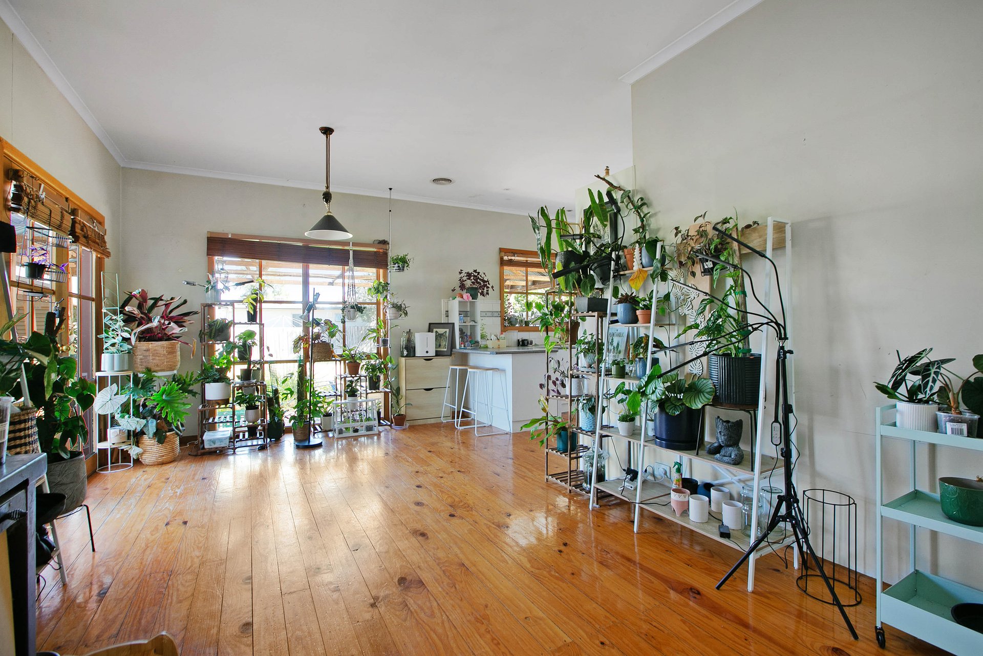 39 Argyle Street, Fawkner image 3