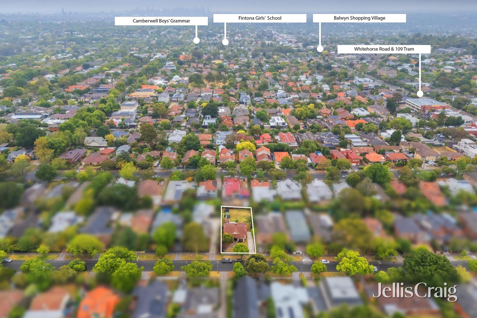 39 Barton Street, Surrey&nbsp;Hills image 11