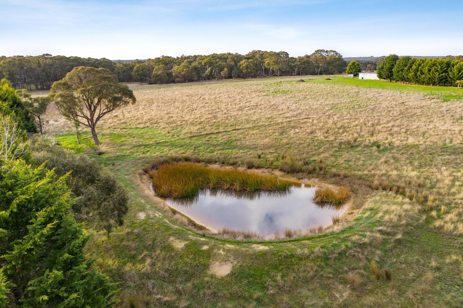 39 Billabong Road, Haddon image 4
