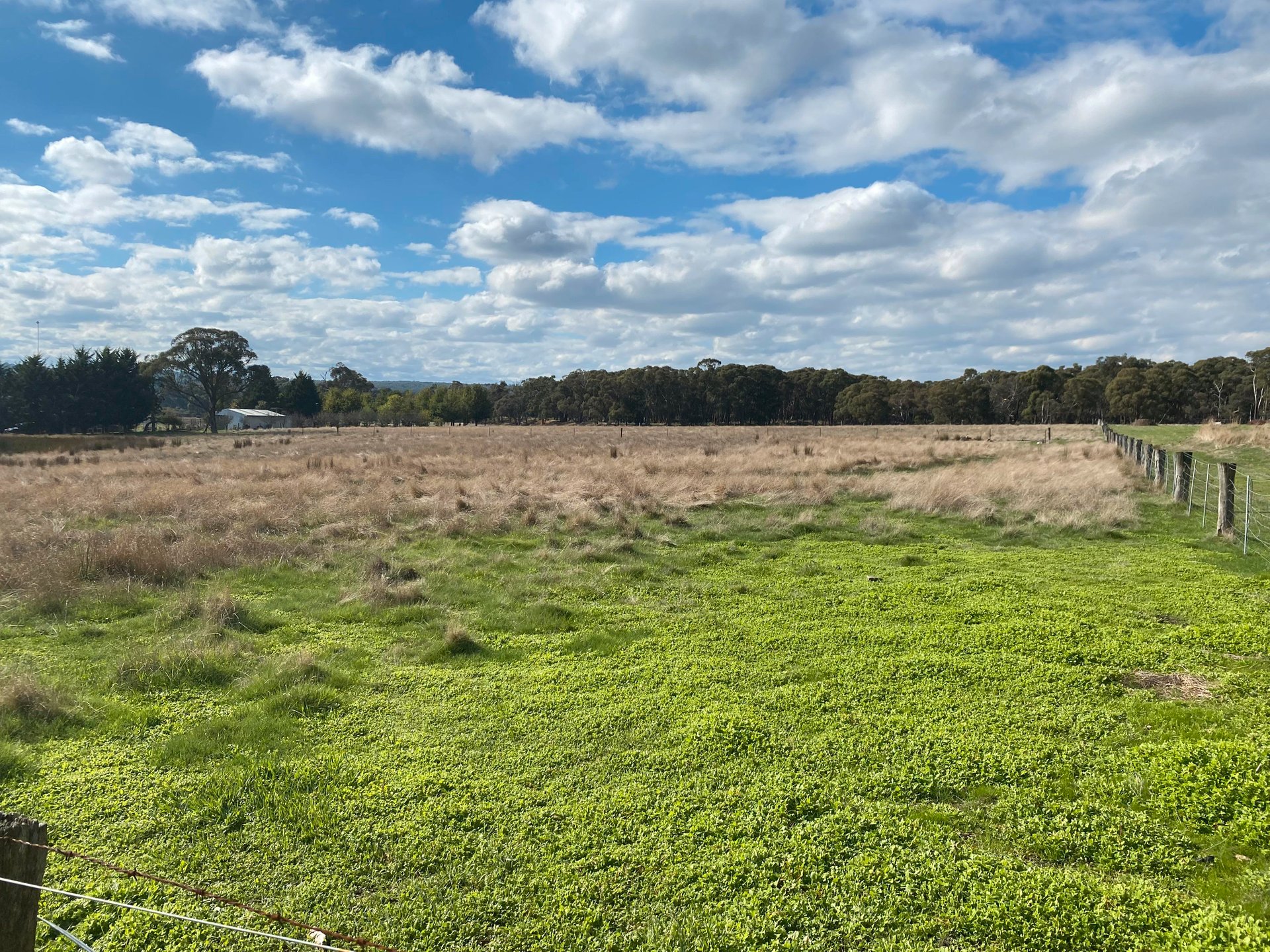39 Billabong Road, Haddon image 6
