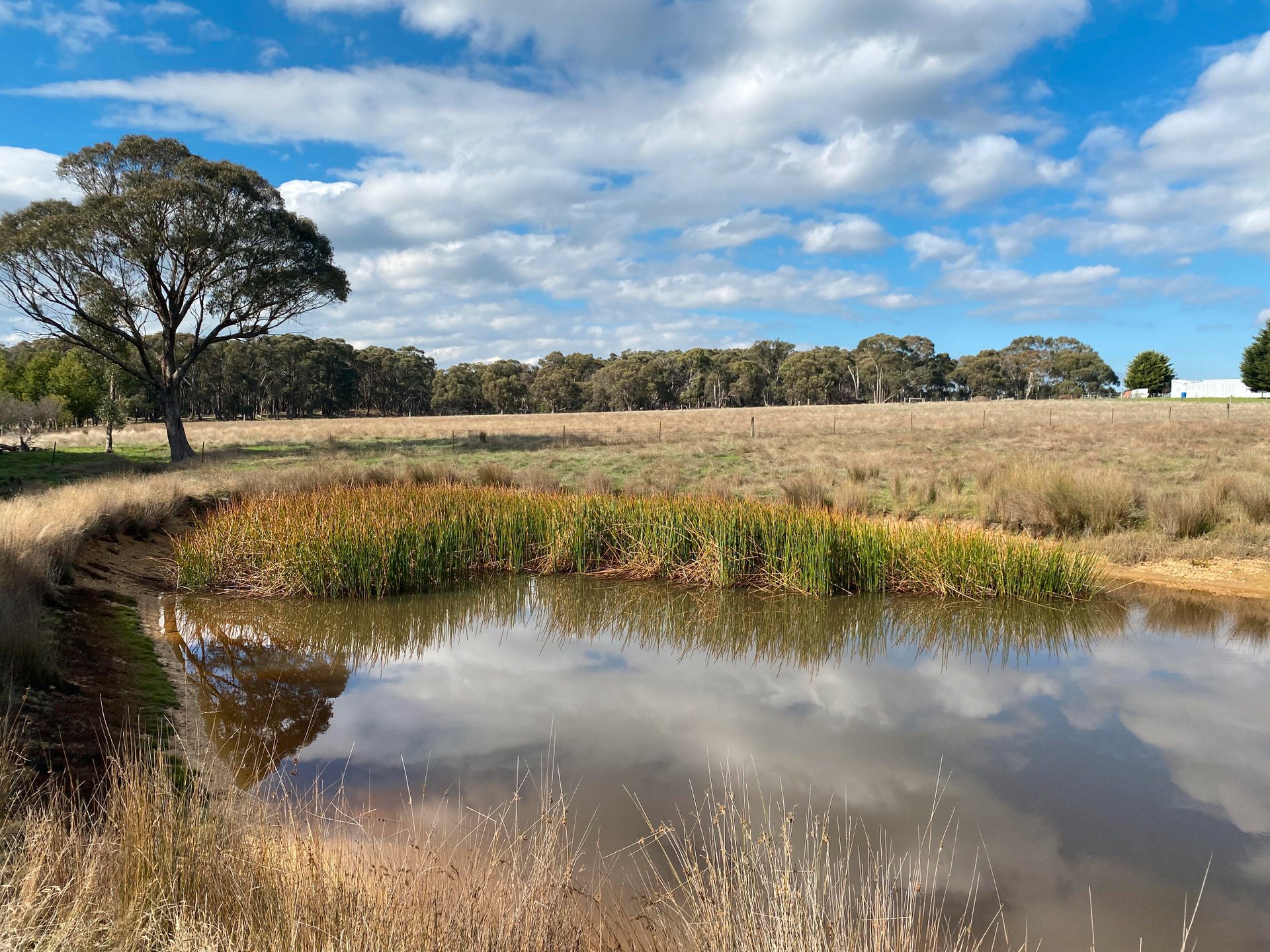 39 Billabong Road, Haddon image 7