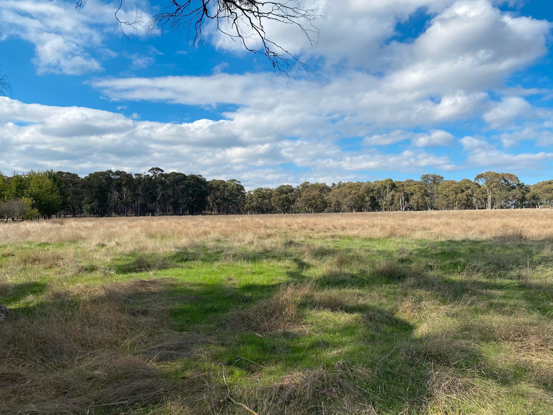 39 Billabong Road, Haddon image 8