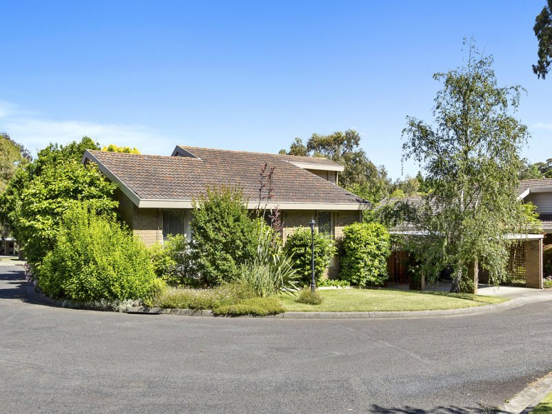 39 Boardman Close, Box Hill South image 1