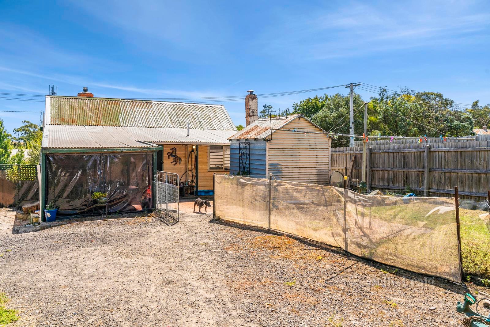 39 Cameron Street, Malmsbury image 15
