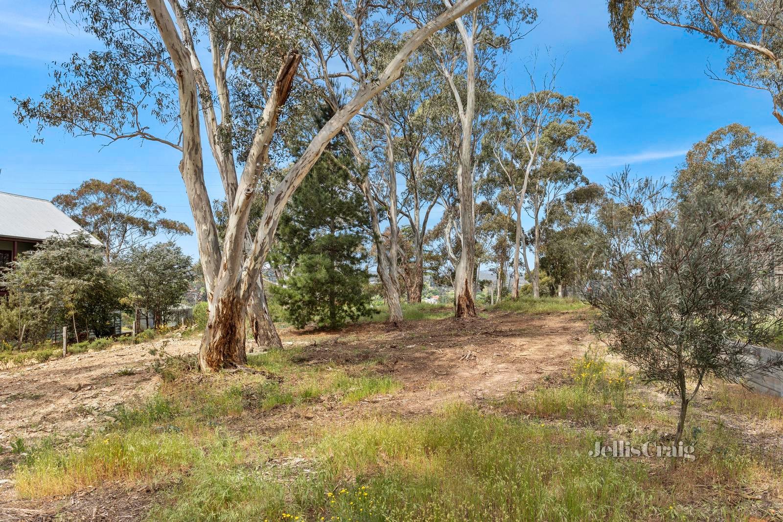 39 Farnsworth Street, Castlemaine image 5