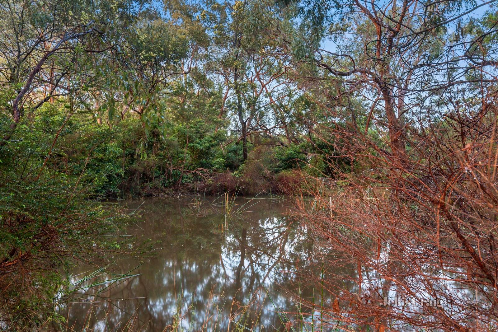 39 Scott Road, Cranbourne South image 21