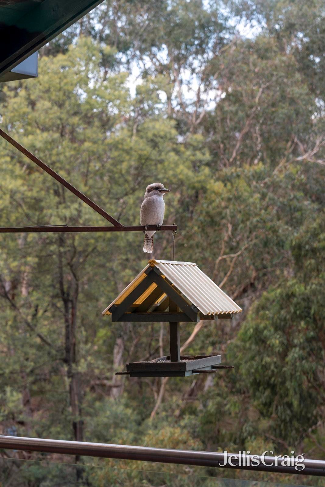 392 Old Warrandyte Road, Ringwood&nbsp;North image 7