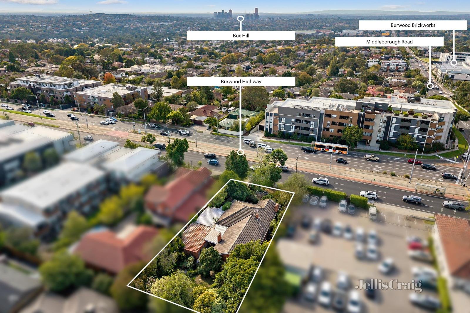 394 Burwood Highway, Burwood image 6