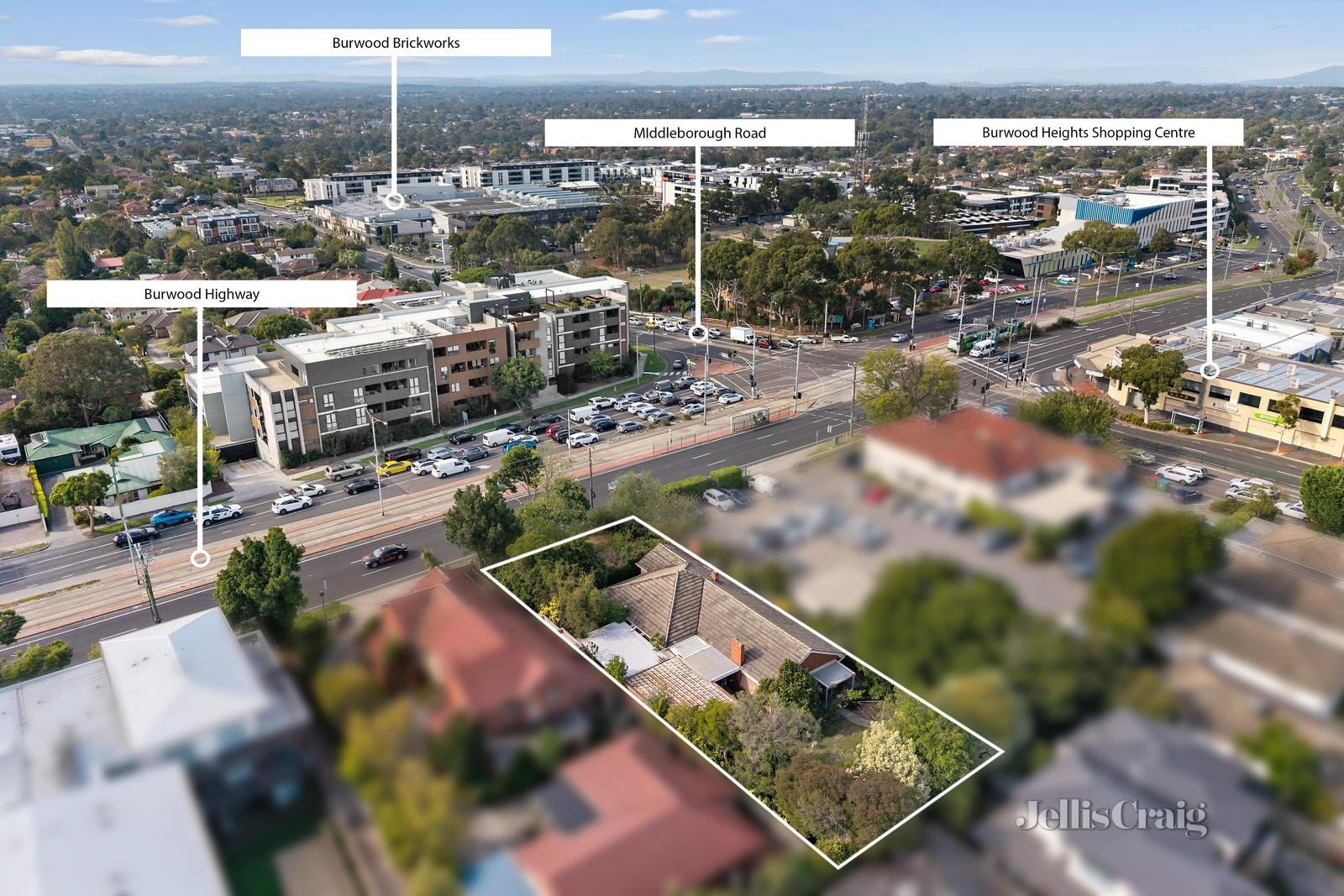 394 Burwood Highway, Burwood image 7