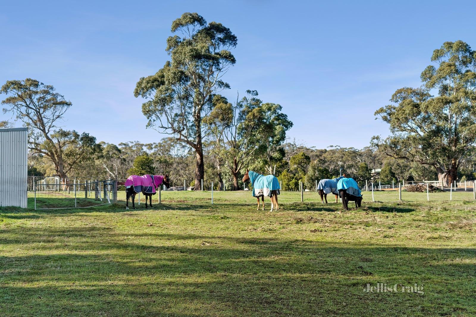396 Sullivans Road, Millbrook image 3