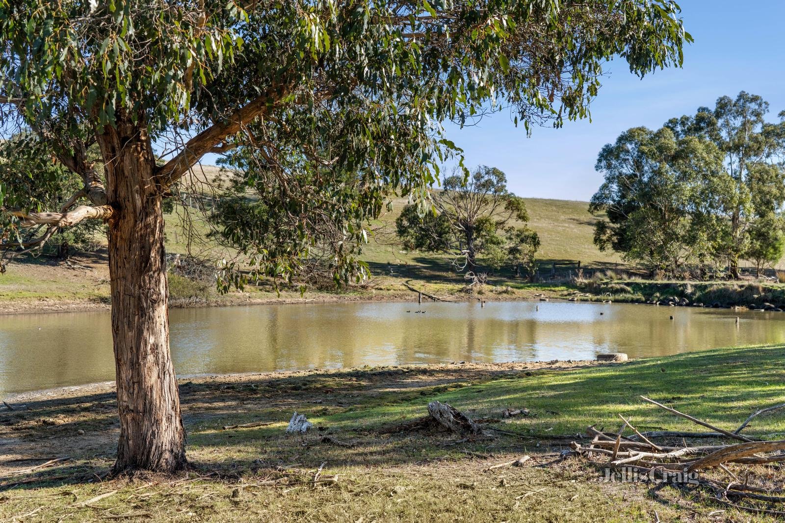396 Sullivans Road, Millbrook image 4