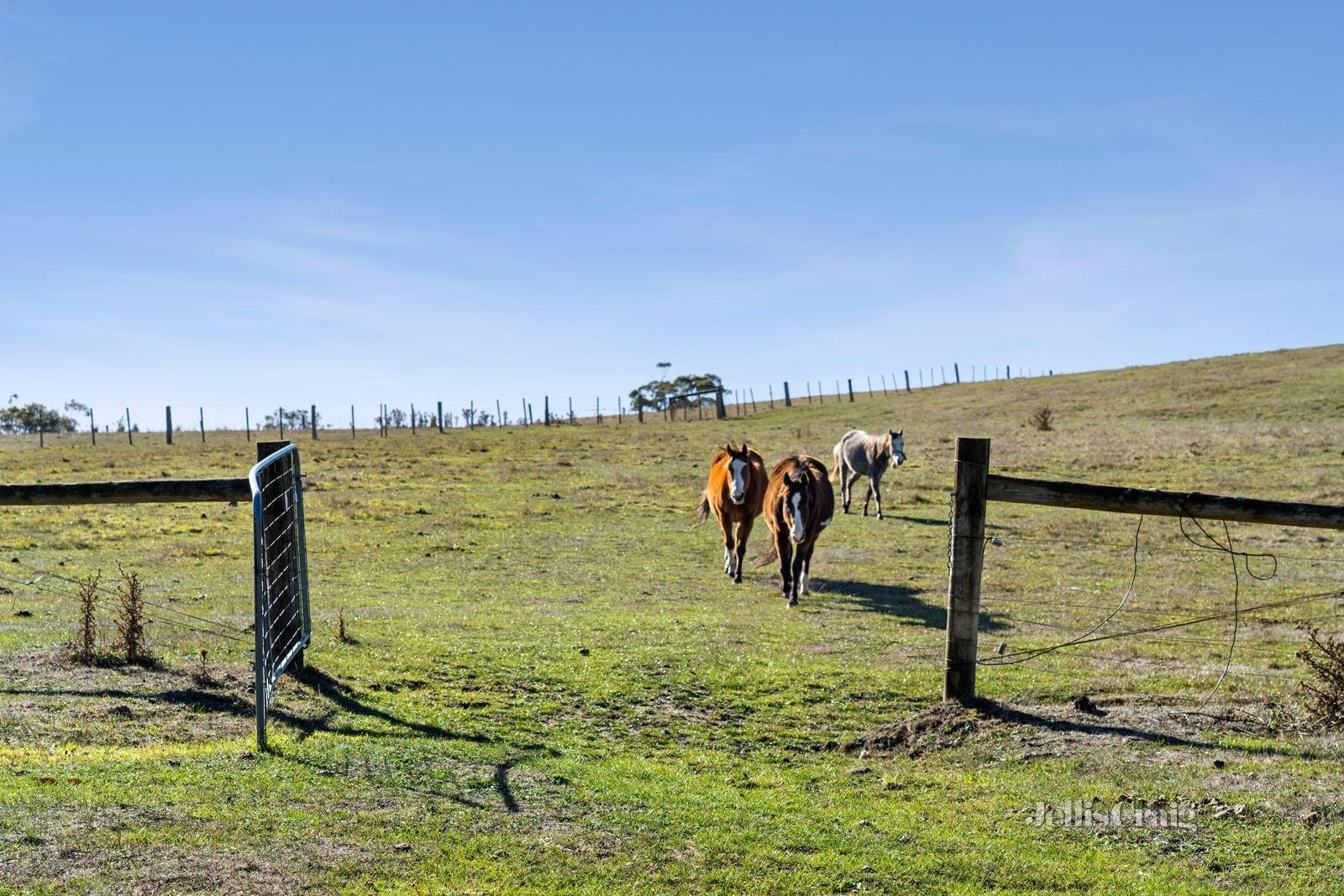 396 Sullivans Road, Millbrook image 13
