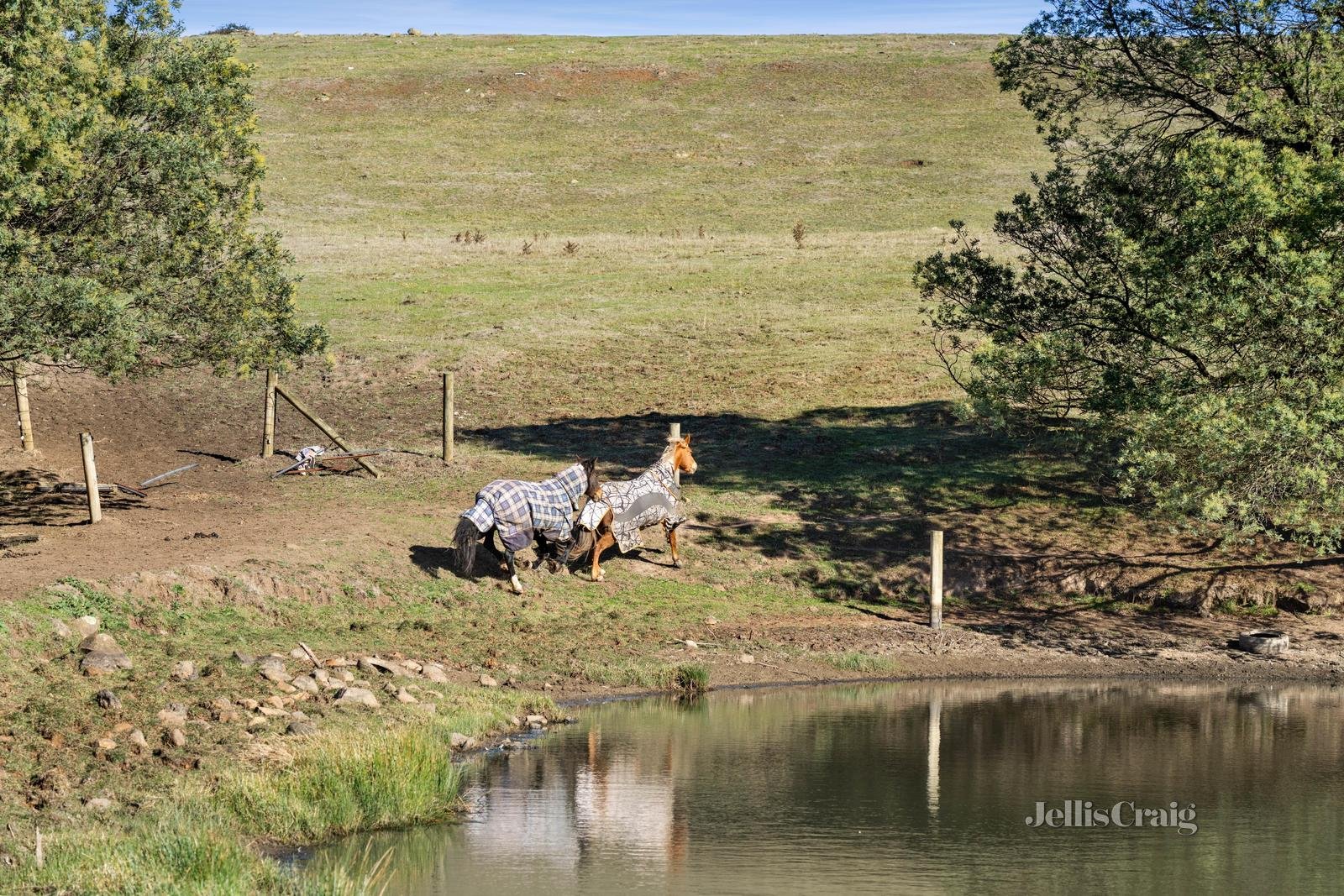 396 Sullivans Road, Millbrook image 15