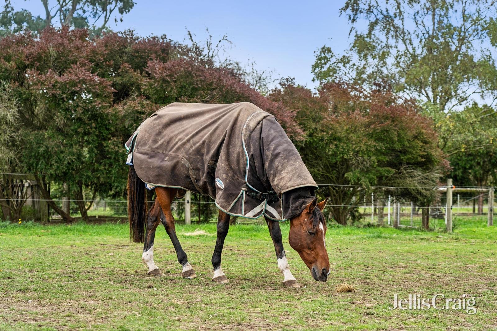 397 Millbrook-Mount Egerton Road, Gordon image 11