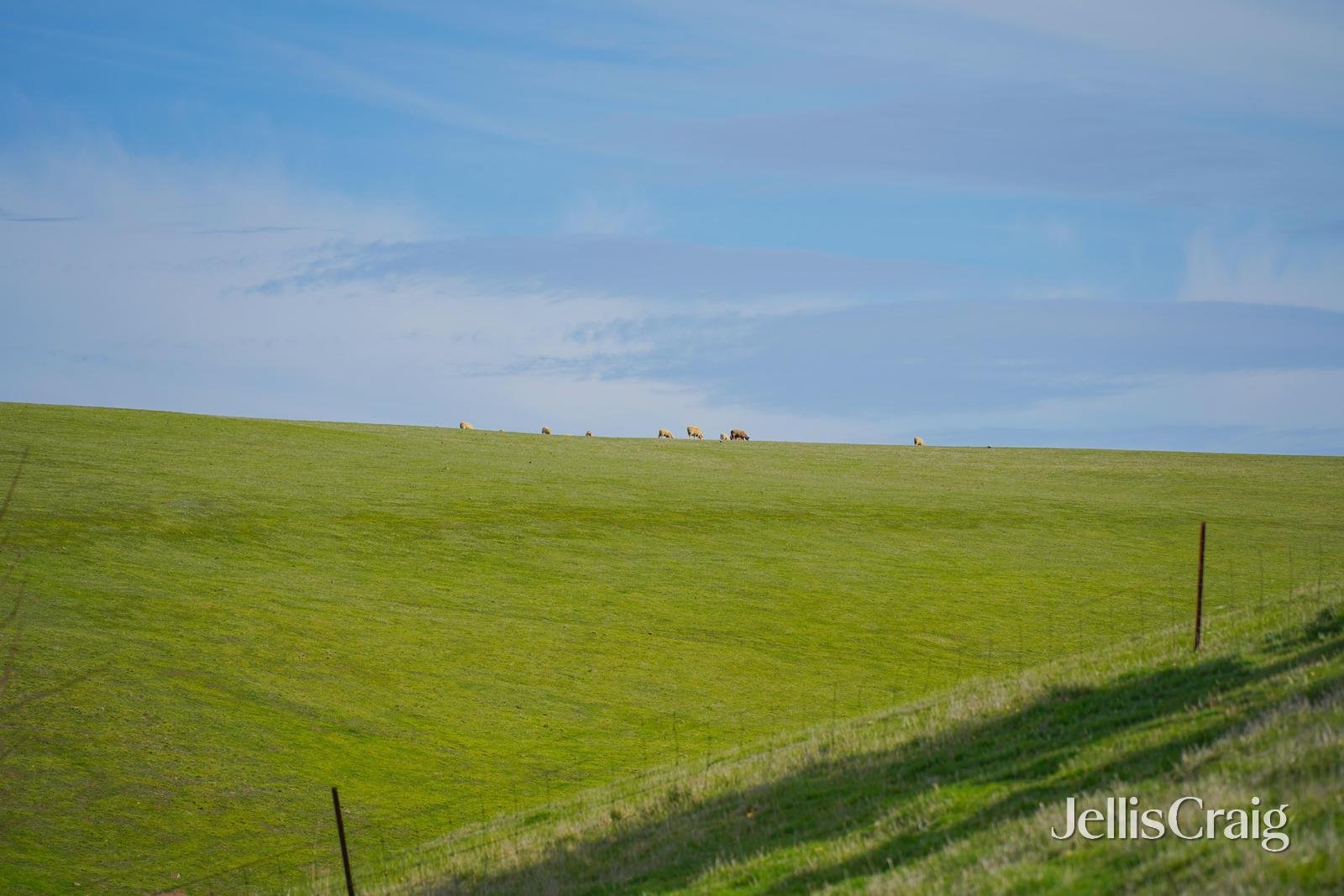 399 Drummond Vaughan Road, Glenluce image 22
