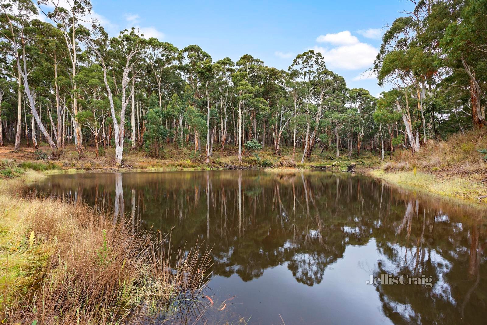 3997 Midland Highway, Eganstown image 4