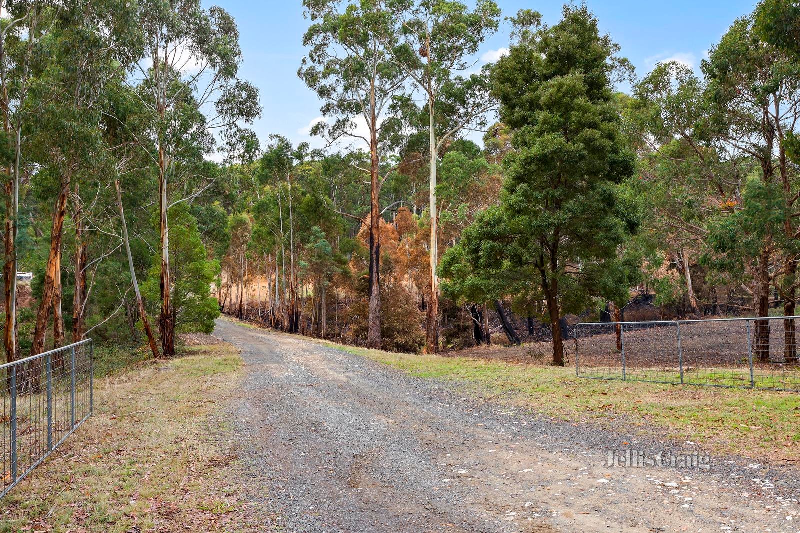 3997 Midland Highway, Eganstown image 5