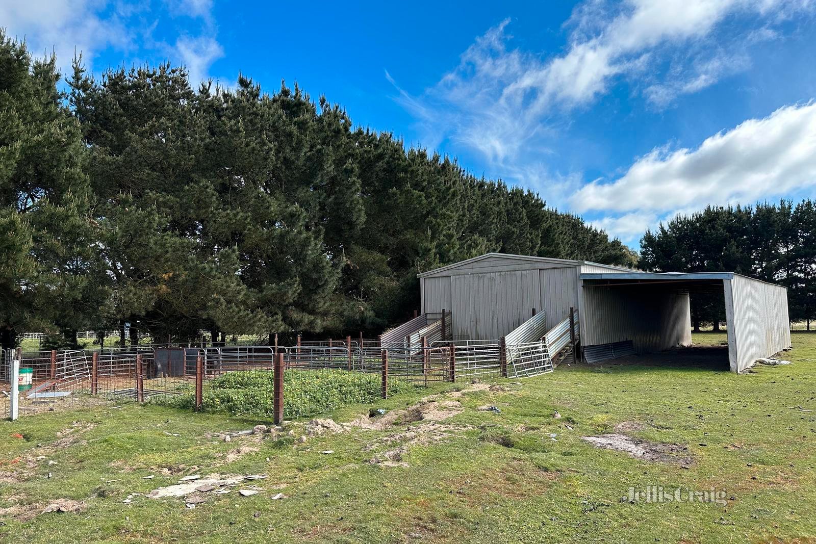 3a Racecourse Road, Haddon image 7