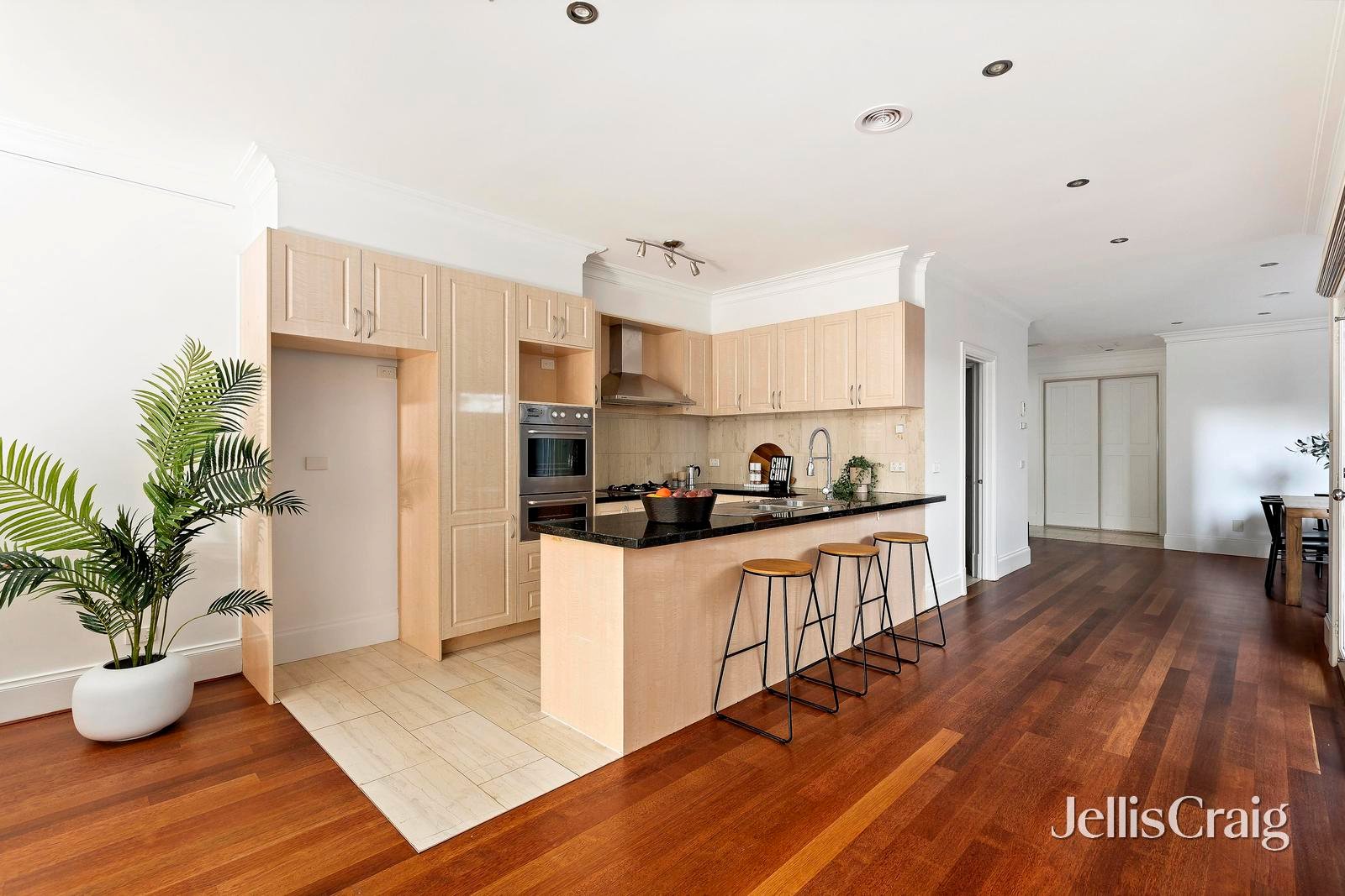 3a Robert Street, Elwood image 4