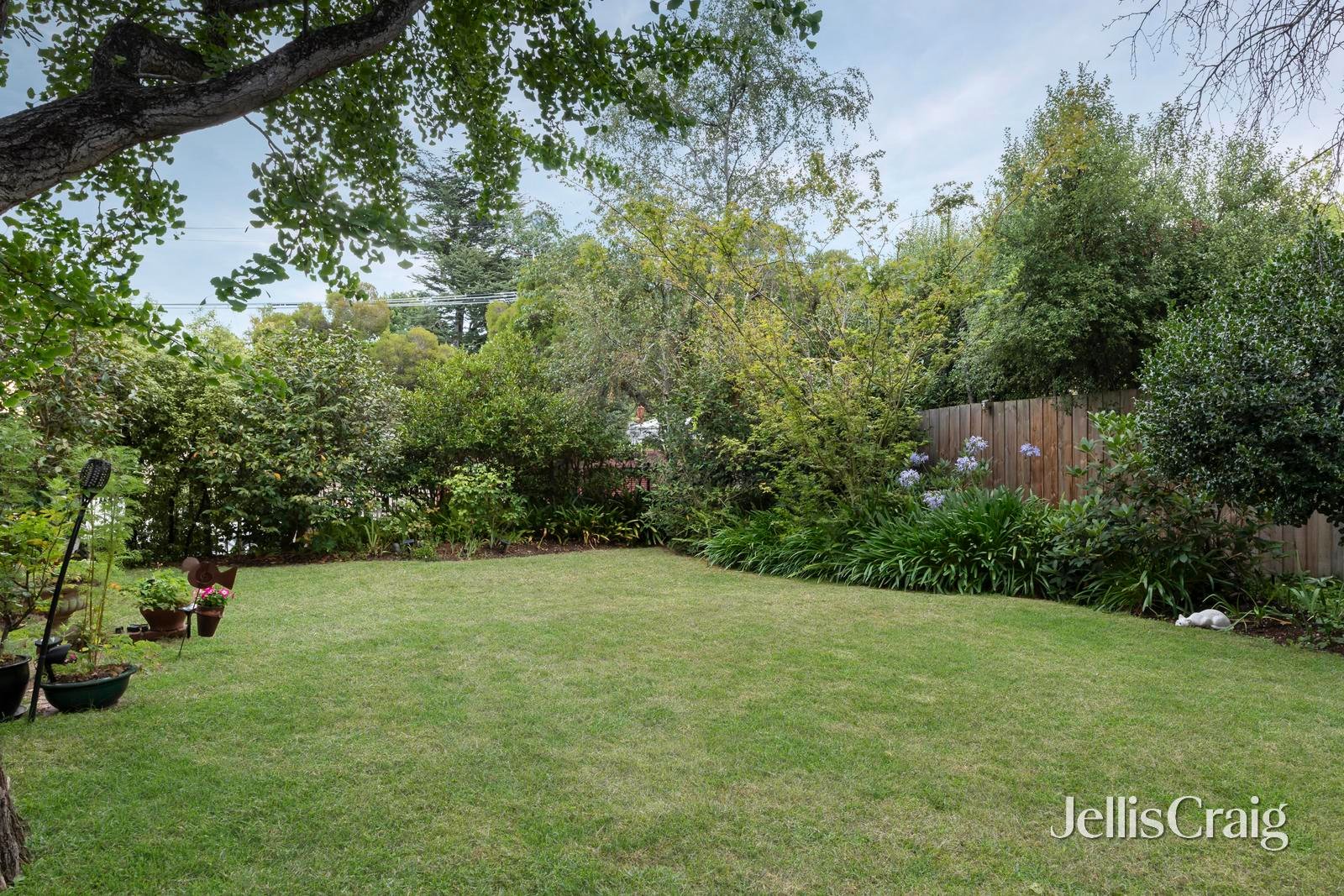 3a View Street, Canterbury image 6