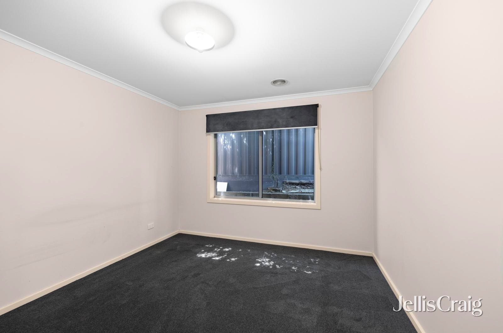 3B Hafey Court, Eureka image 7
