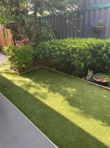 3B Padua Court, Glen Waverley image 10